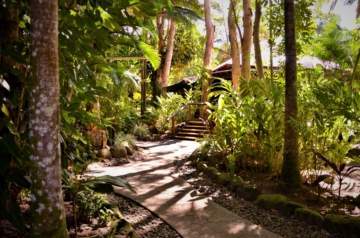 PK's Jungle Village (Cape Tribulation - Australia)